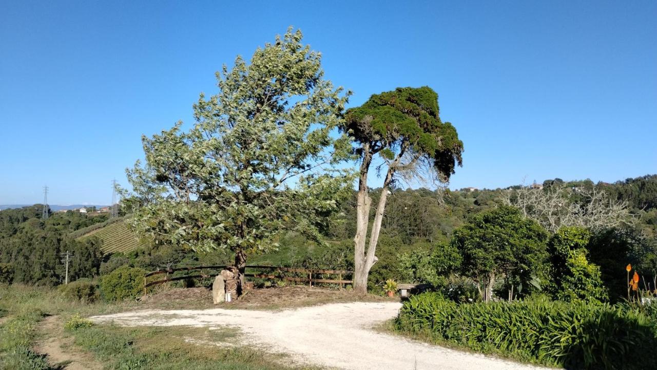 Quinta Do Oratorio Agroturismo Óbidos Extérieur photo